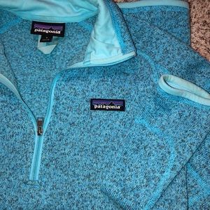 Patagonia Better Sweater